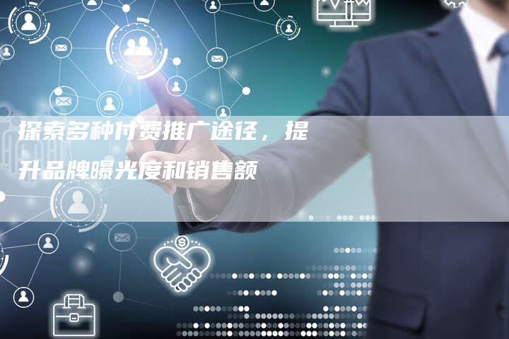 探索多种付费推广途径，提升品牌曝光度和销售额