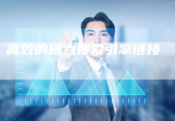 高效的磁力搜索引擎链接