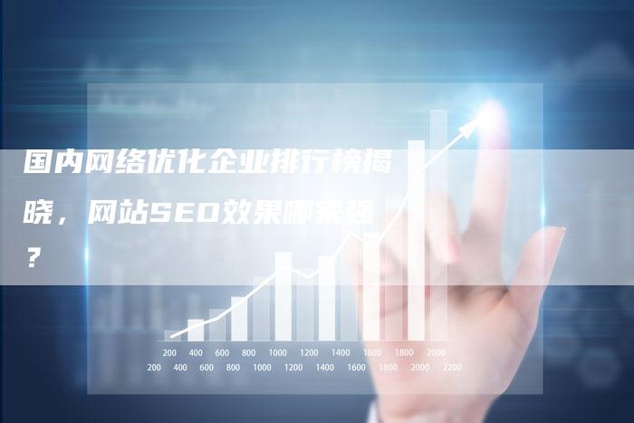 国内网络优化企业排行榜揭晓，网站SEO效果哪家强？