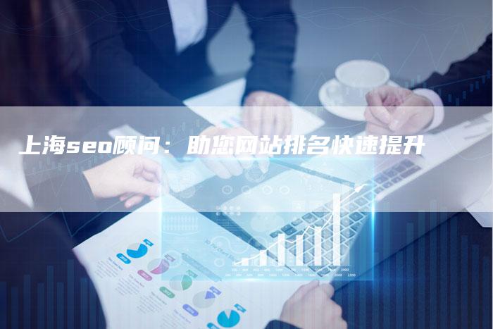 上海seo顾问：助您网站排名快速提升