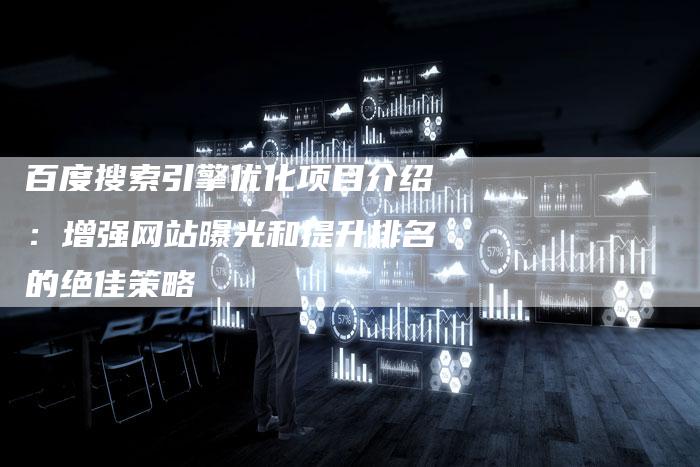 百度搜索引擎优化项目介绍：增强网站曝光和提升排名的绝佳策略