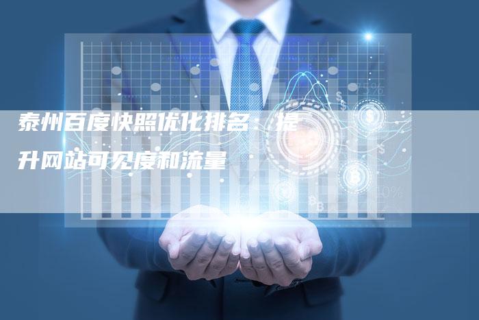 泰州百度快照优化排名：提升网站可见度和流量