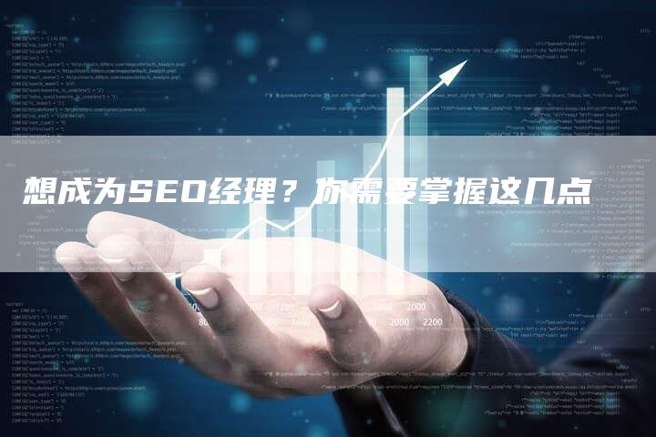 想成为SEO经理？你需要掌握这几点