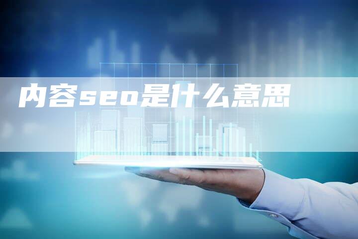 内容seo是什么意思