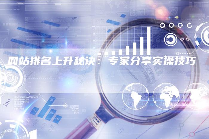 网站排名上升秘诀：专家分享实操技巧