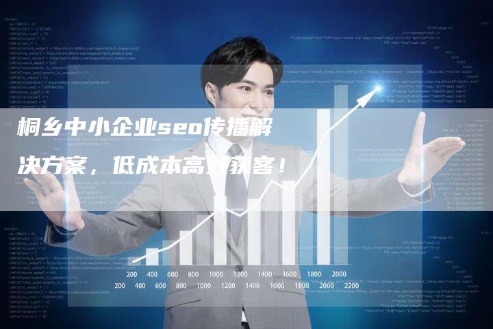 桐乡中小企业seo传播解决方案，低成本高效获客！