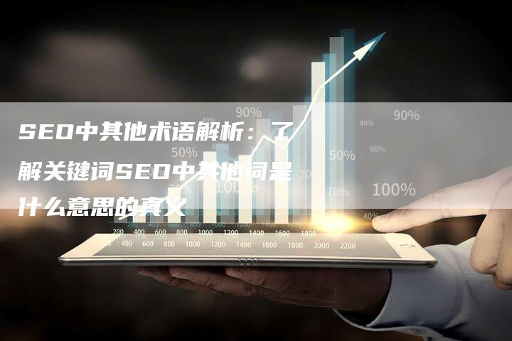 SEO中其他术语解析：了解关键词SEO中其他词是什么意思的真义