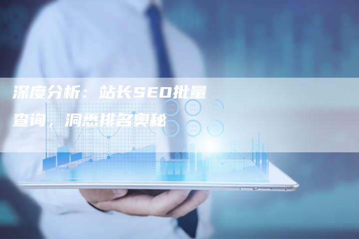 深度分析：站长SEO批量查询，洞悉排名奥秘