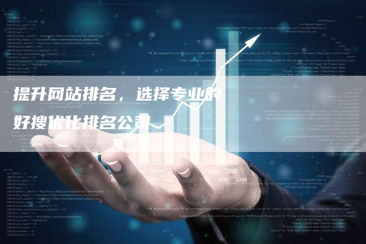 提升网站排名，选择专业的好搜优化排名公司