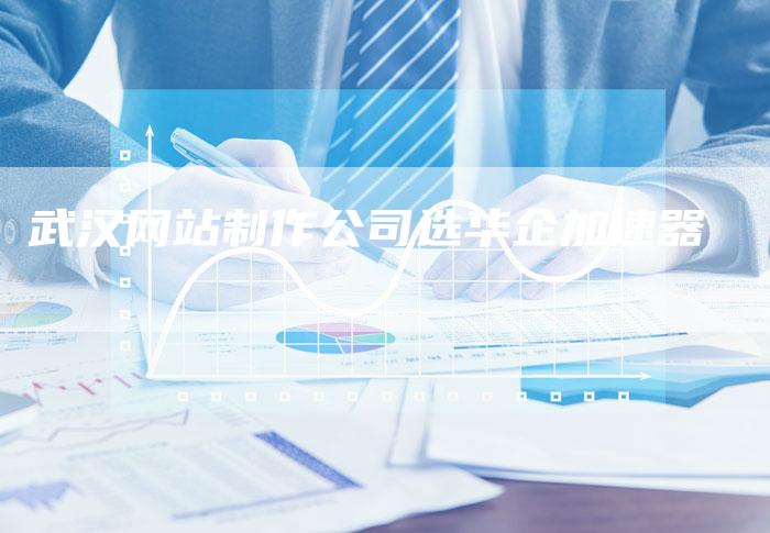 武汉网站制作公司选华企加速器