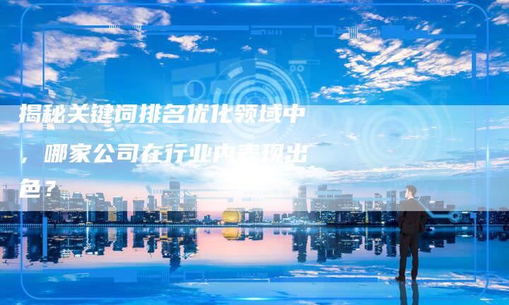 揭秘关键词排名优化领域中，哪家公司在行业内表现出色？