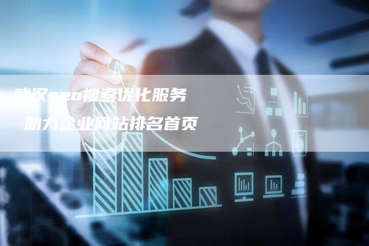 武汉seo搜索优化服务  助力企业网站排名首页