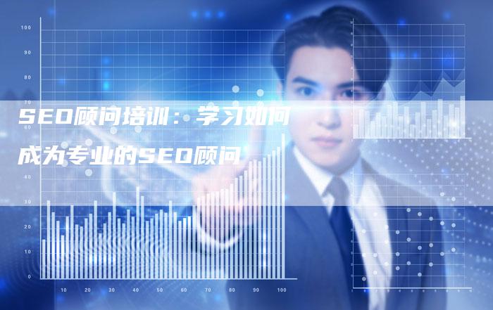 SEO顾问培训：学习如何成为专业的SEO顾问