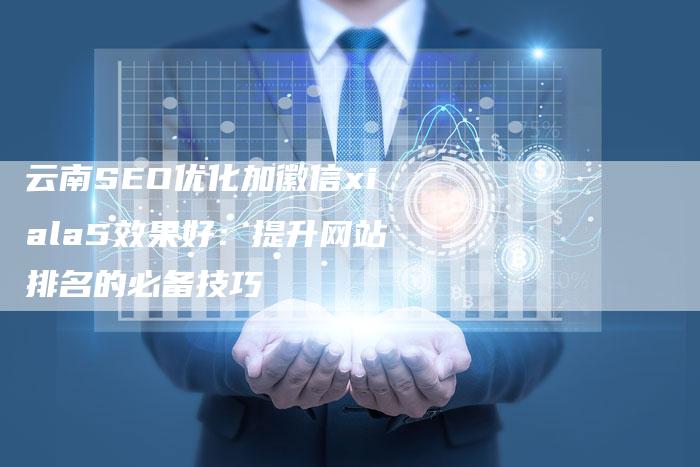 云南SEO优化加徽信xiala5效果好：提升网站排名的必备技巧
