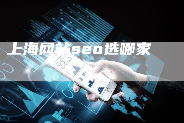 上海网站seo选哪家