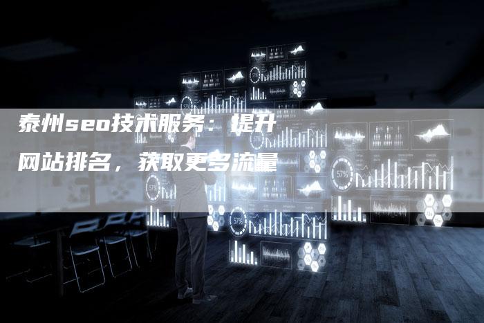 泰州seo技术服务：提升网站排名，获取更多流量