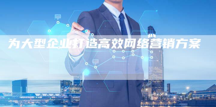 为大型企业打造高效网络营销方案