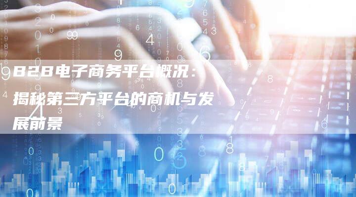 B2B电子商务平台概况：揭秘第三方平台的商机与发展前景