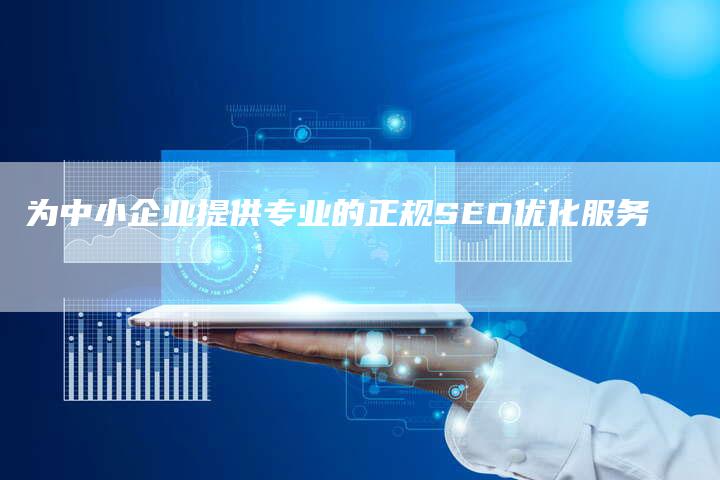为中小企业提供专业的正规SEO优化服务
