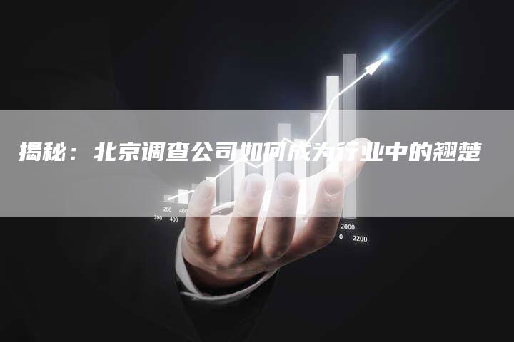 揭秘：北京调查公司如何成为行业中的翘楚