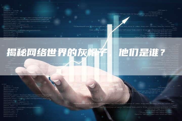 揭秘网络世界的灰帽子，他们是谁？
