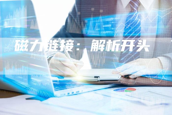 磁力链接：解析开头